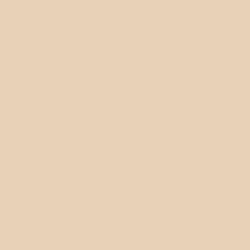 RAL 1015 Light ivory entry-doors door-colors ral-colors ral-1015-light-ivory texture