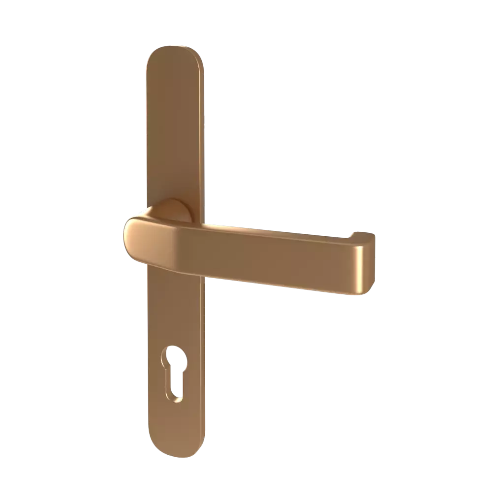 Gold entry-doors door-accessories handles handle-370900 interior