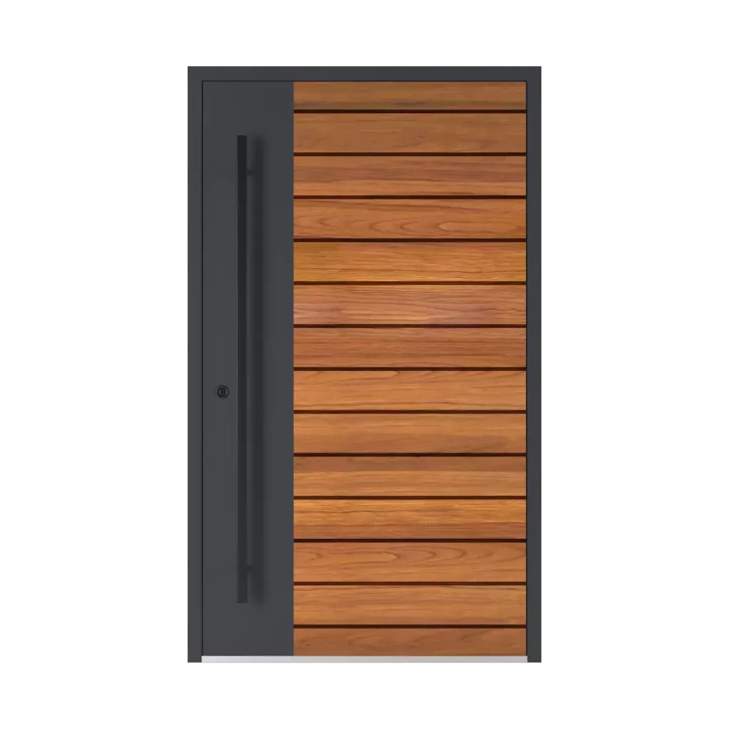 Model 6123 ✨ entry-doors door-colors ral-colors ral-7023-concrete-grey 