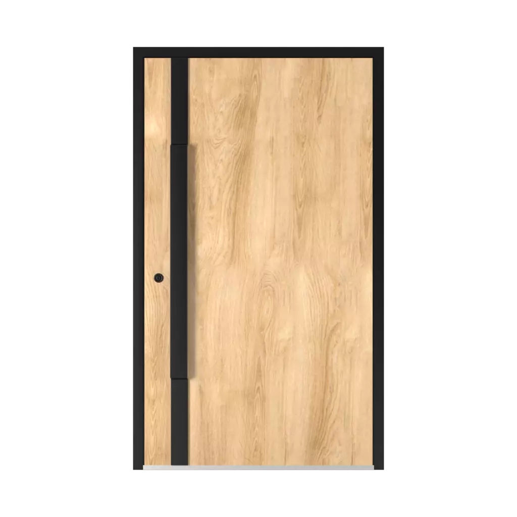 5015 Black ✨ entry-doors door-colors ral-colors ral-7023-concrete-grey 
