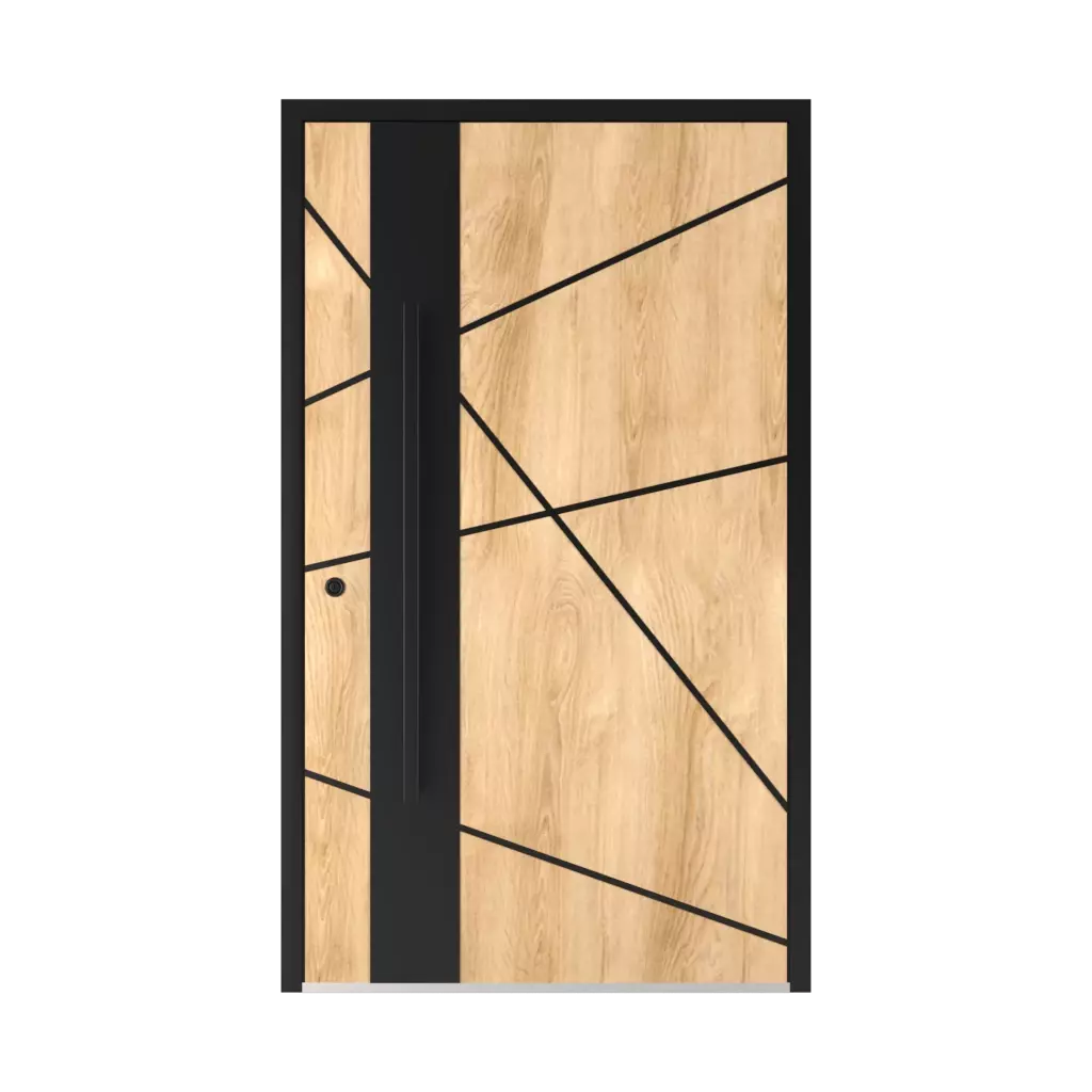6132 Black ✨ entry-doors door-colors ral-colors ral-7023-concrete-grey 