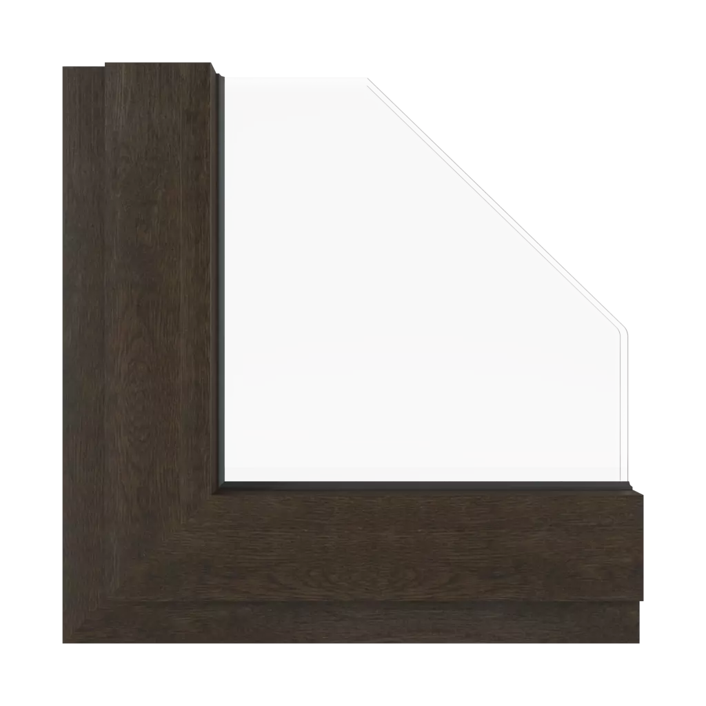 Black walnut windows window-color aluprof-colors black-walnut interior