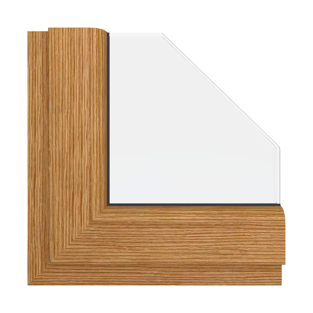 Mountain pine windows window-color gealan-colors mountain-pine interior